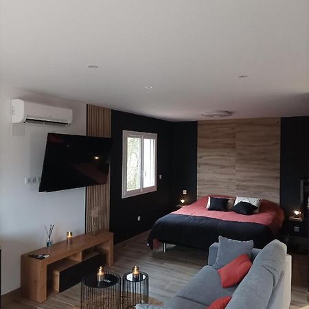 Loft Sauna Jacuzzi Ospariegeois Lavelanet Bagian luar foto