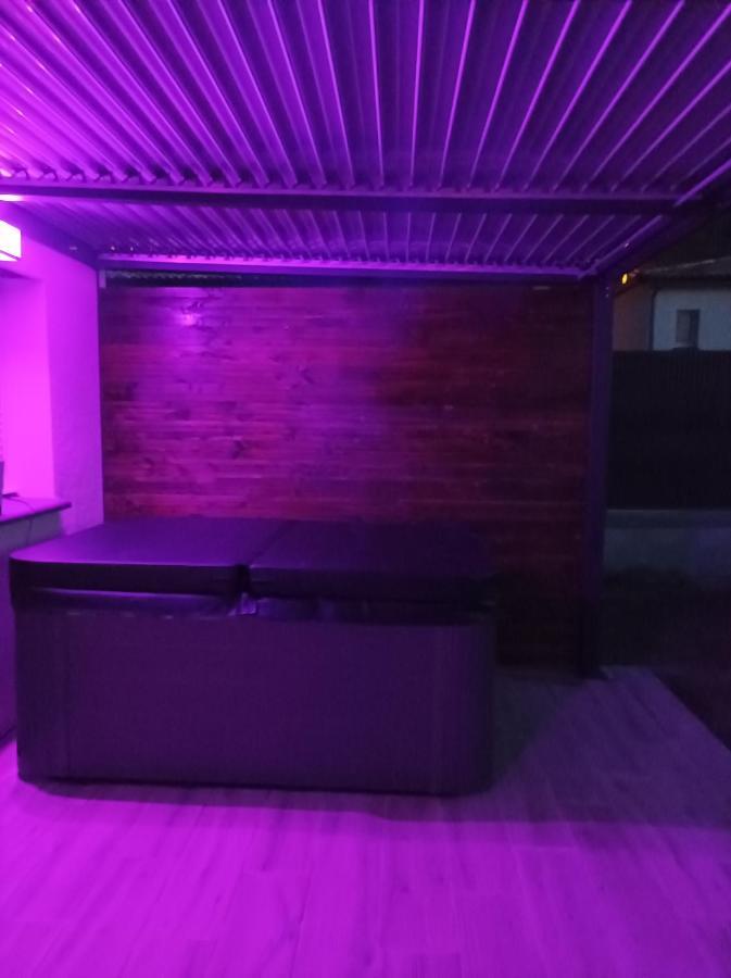 Loft Sauna Jacuzzi Ospariegeois Lavelanet Bagian luar foto